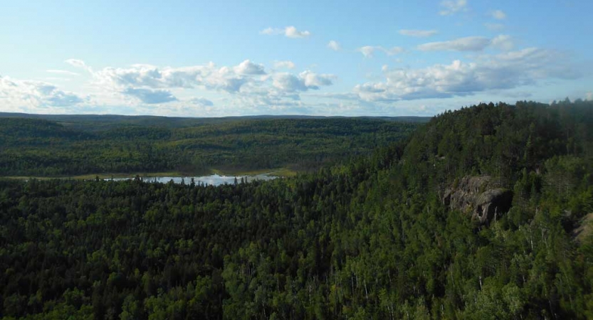 Amid a vast green forrest, a river winds through the middle. 